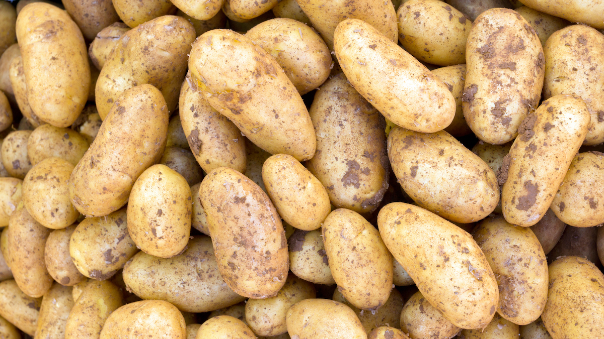 Czy ziemniaki trzeba wykluczyć z diety?