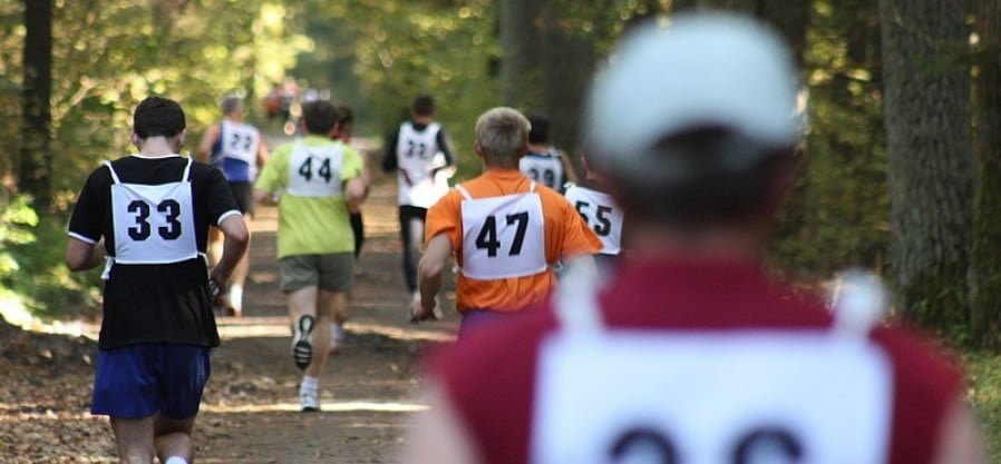 polmaraton hajnowski biegiem na szlaku zubra
